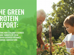 green protein report